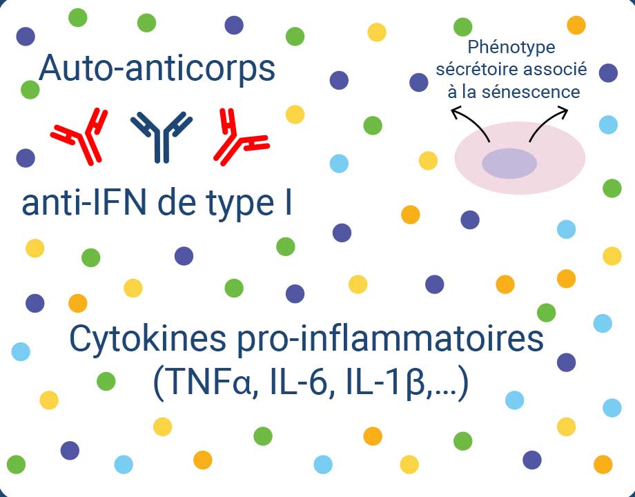 Inflammatory cytokines - diagram